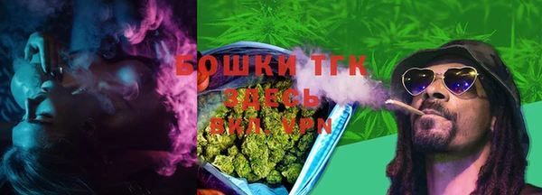 мдпв Корсаков