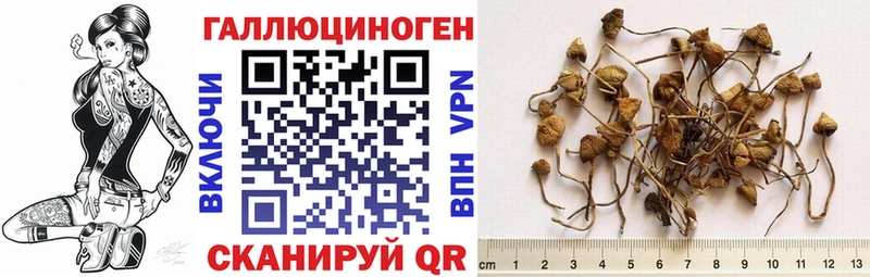 цены наркотик Устюжна Галлюциногенные грибы мицелий