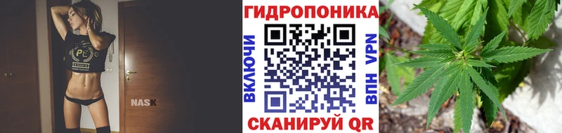 кракен зеркало  магазин продажи   Устюжна  МАРИХУАНА Bruce Banner 